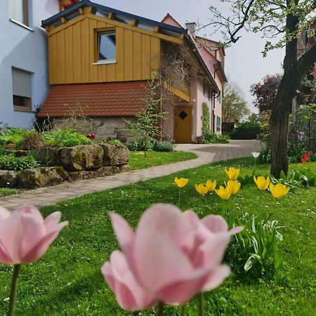 Ferienwohnung Wiesenhof Neuhof an der Zenn Zewnętrze zdjęcie
